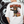 White t-shirt with a bear graphic and 'Hug Dealer' text on the back, against a black and white abstract background.
