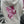 BREAST CANCER SURVIVOR Handle With Care Butterfly Zip Hoodie — Pink Edition
